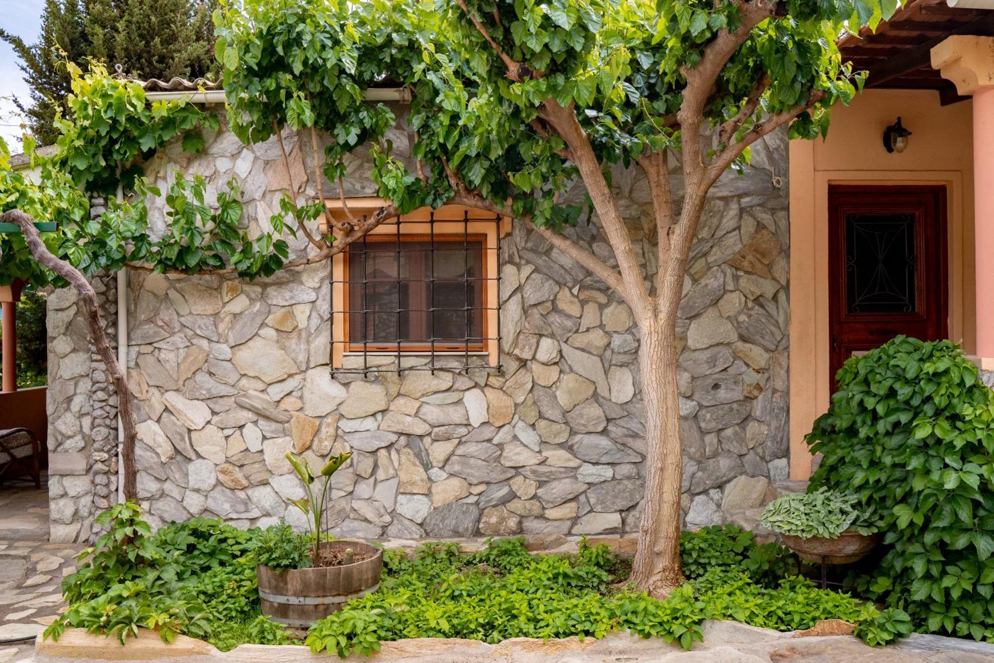 Dm Elegant And Charming Villa Foinikia  Экстерьер фото