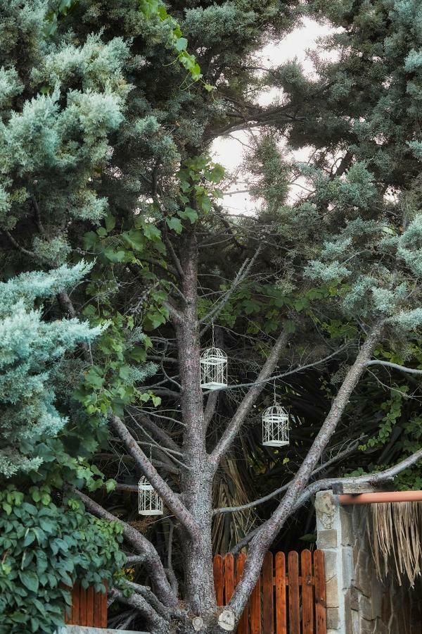 Dm Elegant And Charming Villa Foinikia  Экстерьер фото
